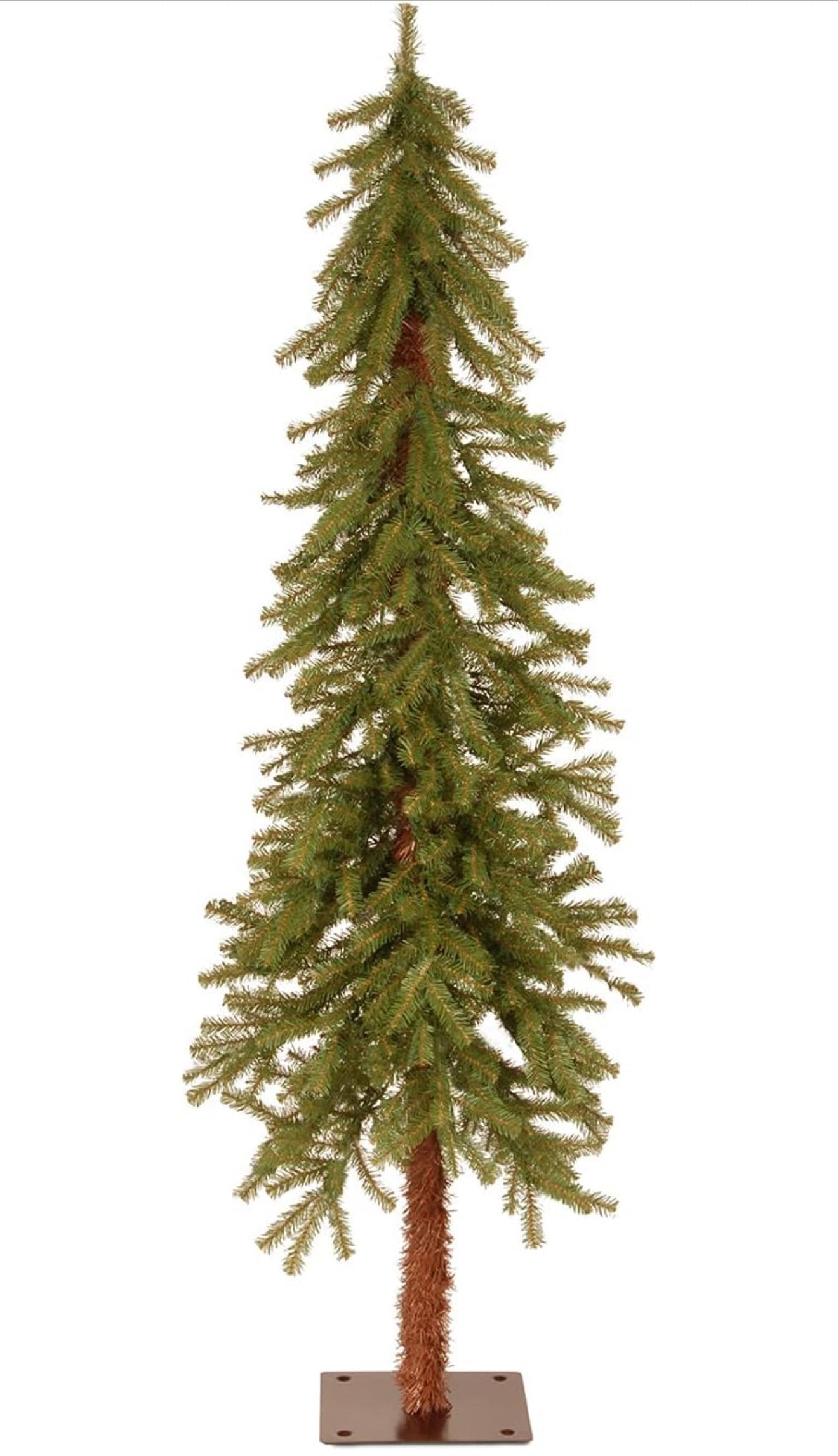 Hickory Cedar Tree