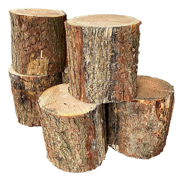 Log Stump