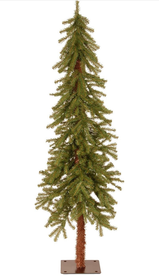 Hickory Cedar Tree