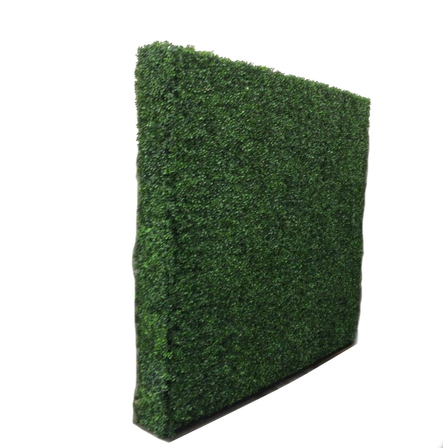 BoxWood Green Wall