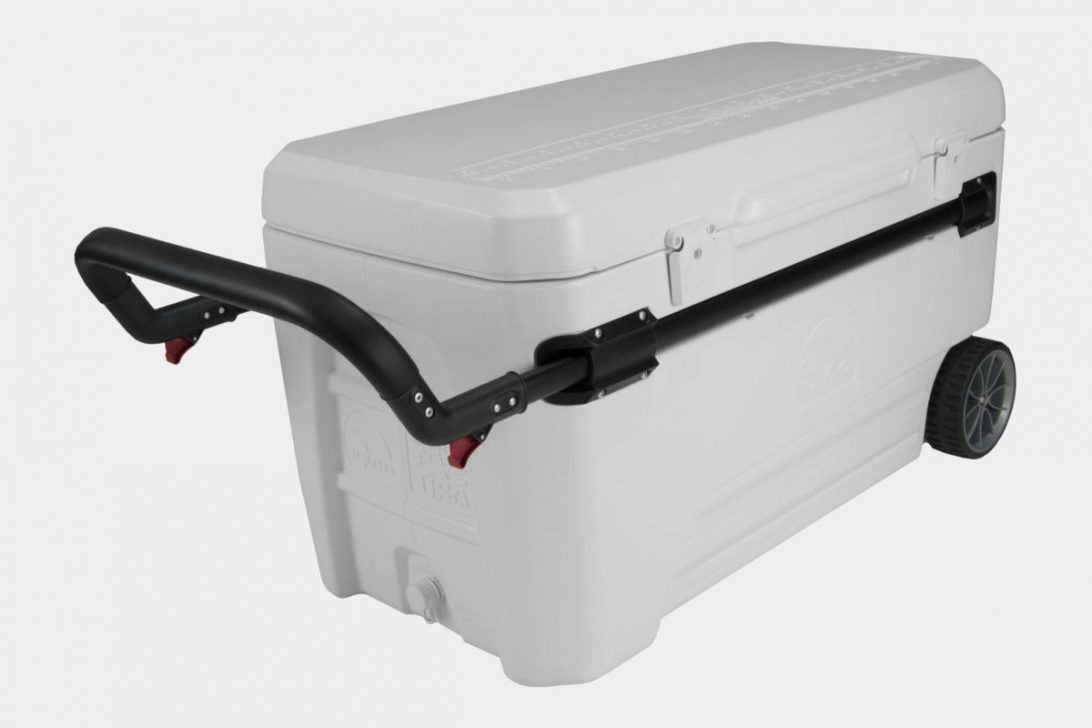 Igloo Cooler