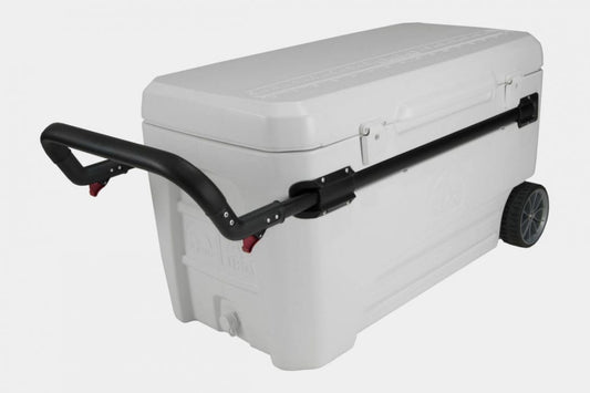 Igloo Cooler
